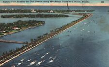 Postcard FL Miami Fishing Fleet heading for Gulf Stream 1956 Vintage PC J3276 picture