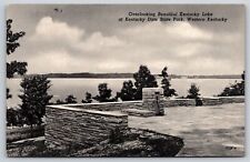 Kentucky Dam Park Kentucky~Kentucky Lake From Overlook B&W~Vintage Postcard picture