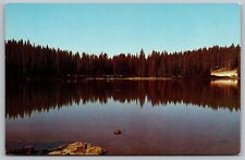 Grand Mesa Colorado Scenic Lakeside Landscape Forest Chrome UNP Postcard picture
