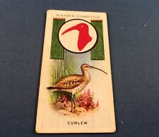 c1933 Boy Scout Collector Card - British Patrol Signs & Emblems:   CURLEW picture