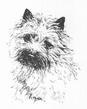 Cairn Terrier #3 - CUSTOM MATTED - 1963 Vintage Dog Art Print 0507 CLD picture