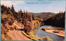 Greetings From Sagola Michigan Riverbend 1960's Unused Vintage Postcard picture