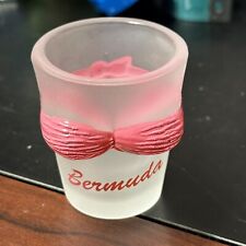Bermuda Pink Bikini Top Shot Glass Bust Frosted picture