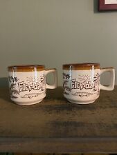 Vintage Pair Florida Souvenir  Coffee Mug Tea Cup 70s/80s picture
