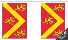 ANGLESEY BUNTING 9 metres 30 flags Polyester flag WALES WELSH HOLYHEAD picture