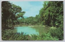 Wheeling West Virginia, Good Lake in Wheeling Park, Vintage Postcard picture