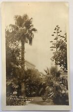 San Antonio TX Alamo Plaza RPPC Real Picture Photo Black White Vintage Palm Tree picture