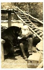 1940s RPPC - Spikehorn Bear Den, Feeding Mother And Cub, Harrison, Michigan picture