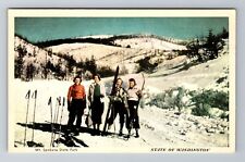 WA-Washington, Mt Spokane State Park, Antique, Vintage Souvenir Postcard picture