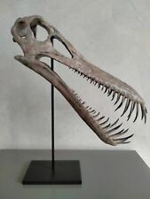 New ,  40CM，Pterosaur / Boreopterus  skeleton Model   YaYL-2020 picture