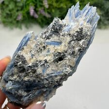 Large Kyanite Crystal Raw Rough Unpolished Fragile Big 816g - 15cm approx picture
