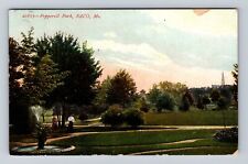 Saco ME-Maine, Pepperell Park, Antique, Vintage Souvenir Postcard picture