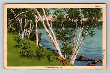 Conneaut Lake PA- Pennsylvania, View Of Lake Area, Vintage c1941 Postcard picture