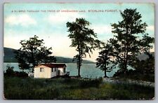 A Glimpse Through the Trees of Greenwood Lake New Jersey— Antique Postcard c1911 picture
