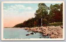 Postcard - Lakeside, Ohio - Pretty Spot / Lakeshore - circa 1920s, Posted (Q12) picture