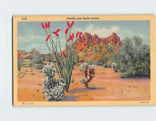 Postcard Ocotillo and Cholla Cactus picture
