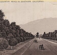 1890's Southern California Country Road Orchard photo-style Jersey Coffee Card picture