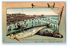 1907 Fish Border Hotel Rudolf Heinz Pier Atlantic City New Jersey NJ Postcard picture