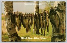 Postcard WI Pembine Wish You Were Here The Fishin's Good UNP A24 picture