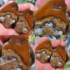 AA Bouquet PLUME Banded Sagenite Agate San Carlos Chihuahua Laguna Mexico 56g picture