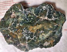 srs:Hampton Butte~Polished Green Jasper & Agate Petrified Wood Slab~~ 1 lb 4 oz~ picture