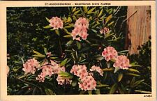 WA-Washington, Washington State Flower, Vintage Postcard picture