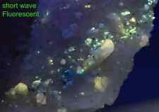 127 Gm Lazurite Crystals With Fluorescent Forsterite Crystals &Pyrite On Matrix picture