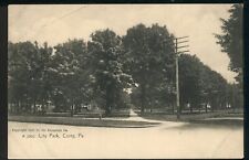 1905 Corry City Park Pennsylvania Rotograph Vintage Postcard M872a picture