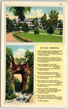 Postcard - In Old Virginia - Natural Bridge - USA, North America picture