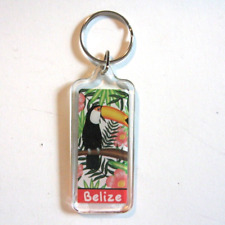 Belize Souvenir Keychain Toucan on Branch Flowers Split Ring picture