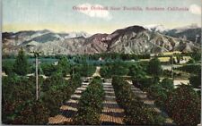 c1910s California Agriculture Postcard 