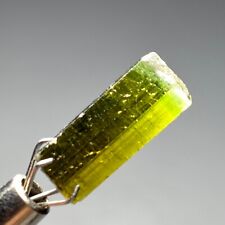 6.50Cts Beautiful Terminated Green cap Tourmaline Crystal From Pakistan picture