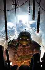 TMNT: The Last Ronin - The Lost Years #1 - Peejay Catatcutan - Virgin Variant picture