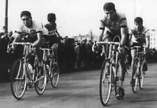Eddy Merckx Felice Gimondi Tour Sardinia February 28 1968 Old Photo picture