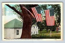 Waterloo NY, Historic Scythe Tree, Monument, Flags New York Vintage Postcard picture