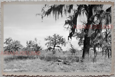50s ANDALUSIA ALABAMA AMERICA BUILDING HOUSE FIELD  OLD VINTAGE USA Photo 7696 picture