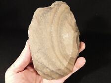 BIG One Million Year Old Early Stone Age ACHEULEAN HandAxe Mali 733gr picture