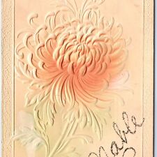 x2 LOT c1900s Custom Name Mable Mabel Postcards Mica Glitter Embossed Flower A72 picture
