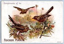 FISCHER PIANOS*BIRDS*BUFFORD LITHO*VICTORIAN TRADE CARD*1880's picture