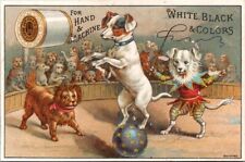 J P Coats Anthropomorphic Dressed Dog Circus Crowd Balancing Ball Whip B HQV1 picture