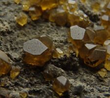 BARYTE var. Ra BARITE beautiful crystals --- CZECH REPUBLIC Lahošť /pj319 picture