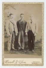 Antique Circa 1880s Cabinet Card Three Handsome Men Mustaches Suits Dunkirk, NY picture