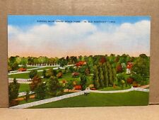 Typical Blue Grass Stock Farm Kentucky Linen Postcard No 1237 picture
