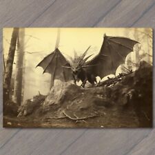 POSTCARD Mysterious Fire Breathing Dragon in Eerie Woods Creepy Unusual picture