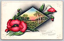 Postcard Best Birthday Wishes Embossed Flowers And Valley View VTG 1911  H19 picture