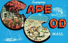 Enjoying Cape Cod Massachusetts MA - Beach & Roses - Postcard picture