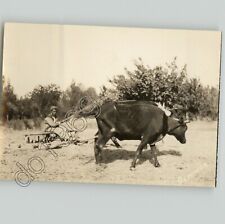 HISTORIC Shot of THRESHING Farmer, PERSIA Iran 1930s Rare Press Photo picture