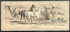 1880’s Vintage Bufford Boston Trade Card Horses “IMPATIENT” picture