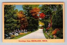 Richland MI-Michigan, Scenic Country Greeting, Antique Vintage Postcard picture
