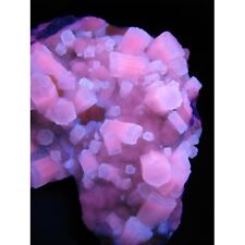 KB: FANTASTIC FL. & PHOS. BLUE/WH SW & PINK LW ARAGONITE XLS. FROM SICILY, ITALY picture